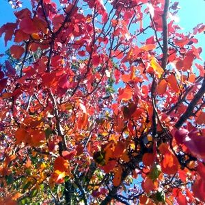 Meet your Posher, S.p.